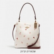 COACH 코치 스몰 타운 버킷백 위드 하트 플로럴 프린트 C2811