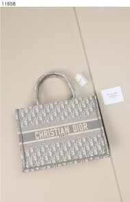 디올 북토트백 미디엄